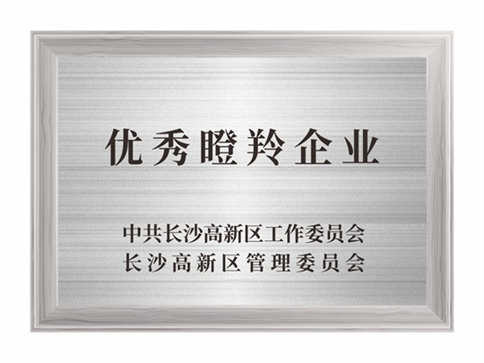 優(yōu)秀瞪羚企業(yè)